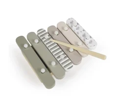 Set Instrumentos Musicales Madera Botton