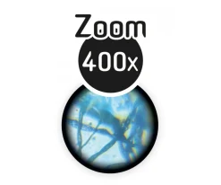 Set Microscopio con 15 Experimentos