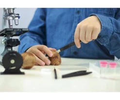 Set Microscopio con 30 Experimentos