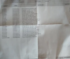 Toalla Playa Extra Large Microfibra Flowers Tropical Bloom Extra Large