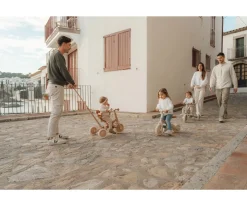 Triciclo con Barra 4 en 1 Rosa Flores