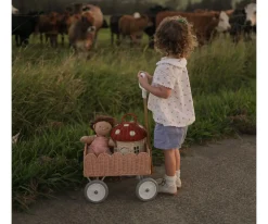 Vagón de Arrastre Seashell Pink