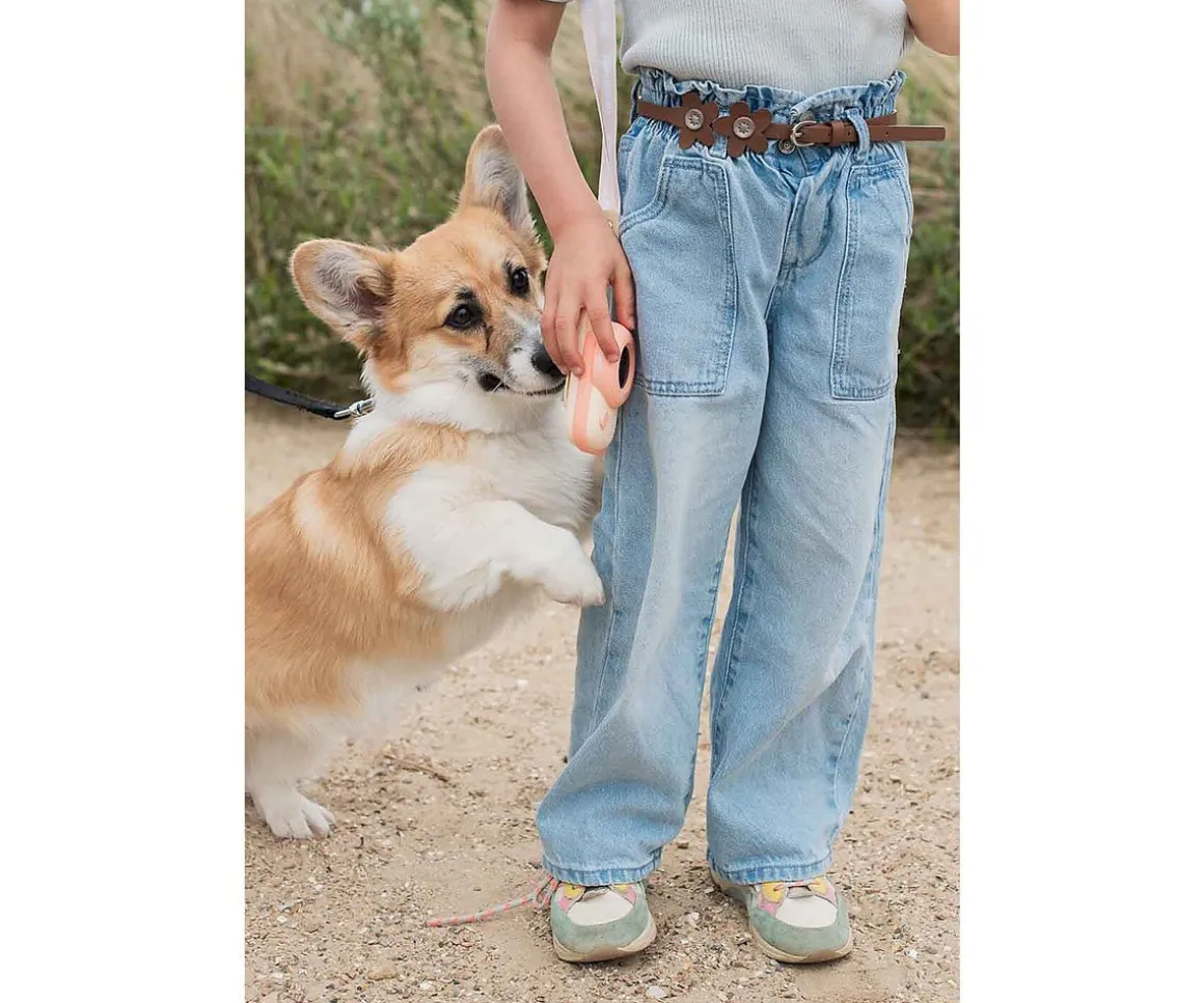 Zoo Walkie Talkie Dino Pink / Dino Pink